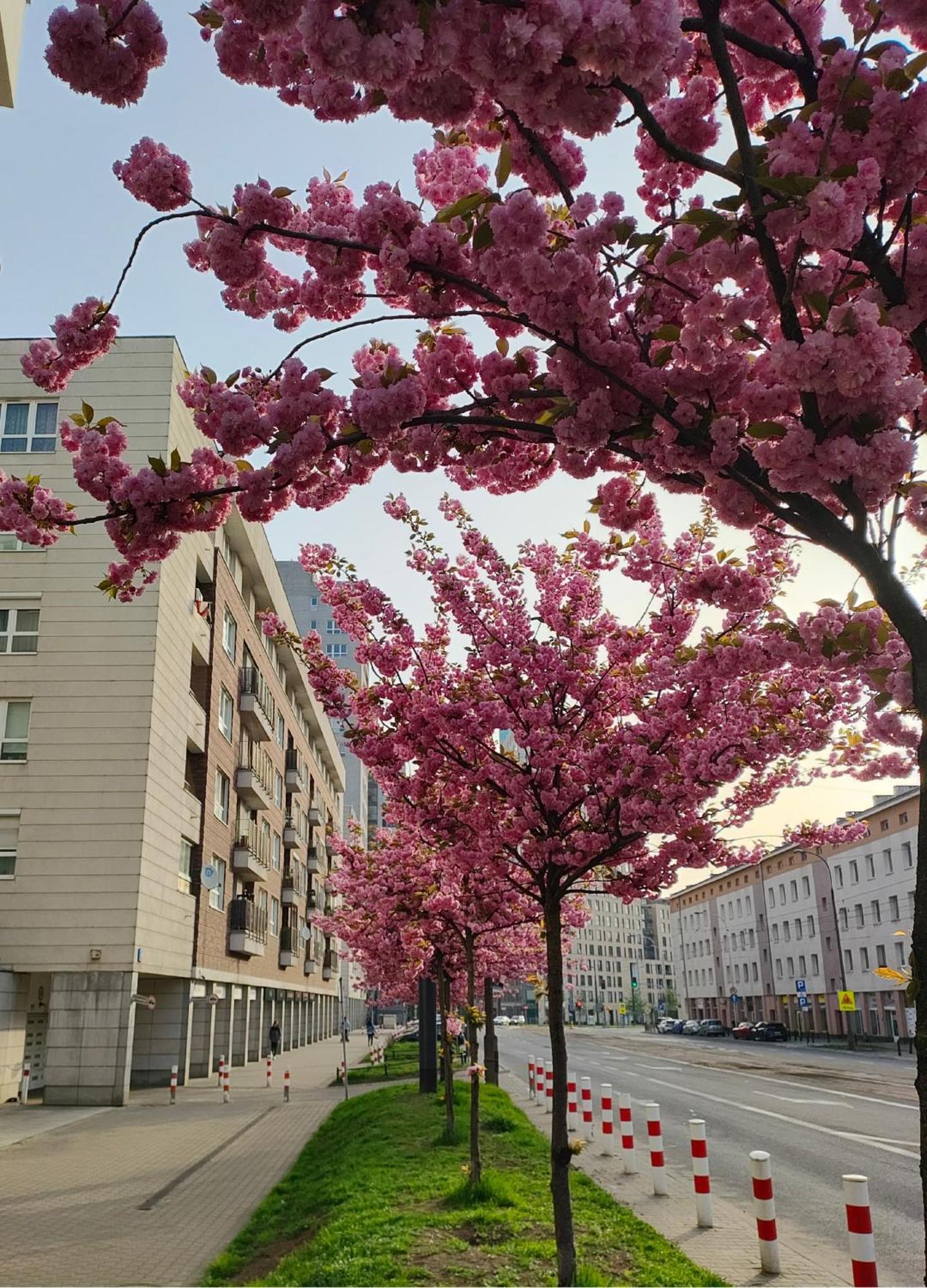 Totutotam Studio Варшава Екстер'єр фото